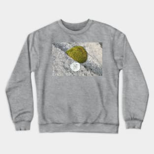 Rock Moss Crewneck Sweatshirt